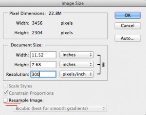 Uncheck Resample Image